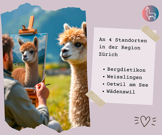 Alpakamalen Bergdietikon Weisslingen Oetwil am See Wädenswil