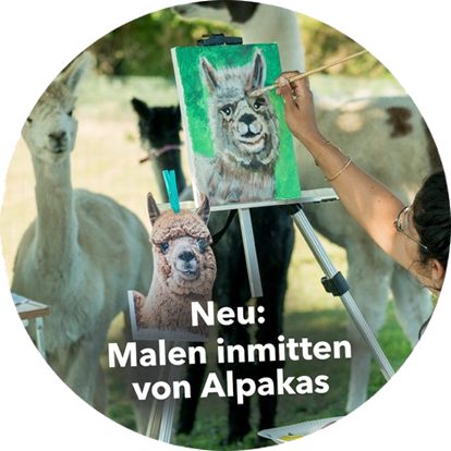 Malen inmitten von Alpakas